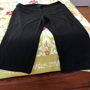 Lane Bryant Petite Dress Pants